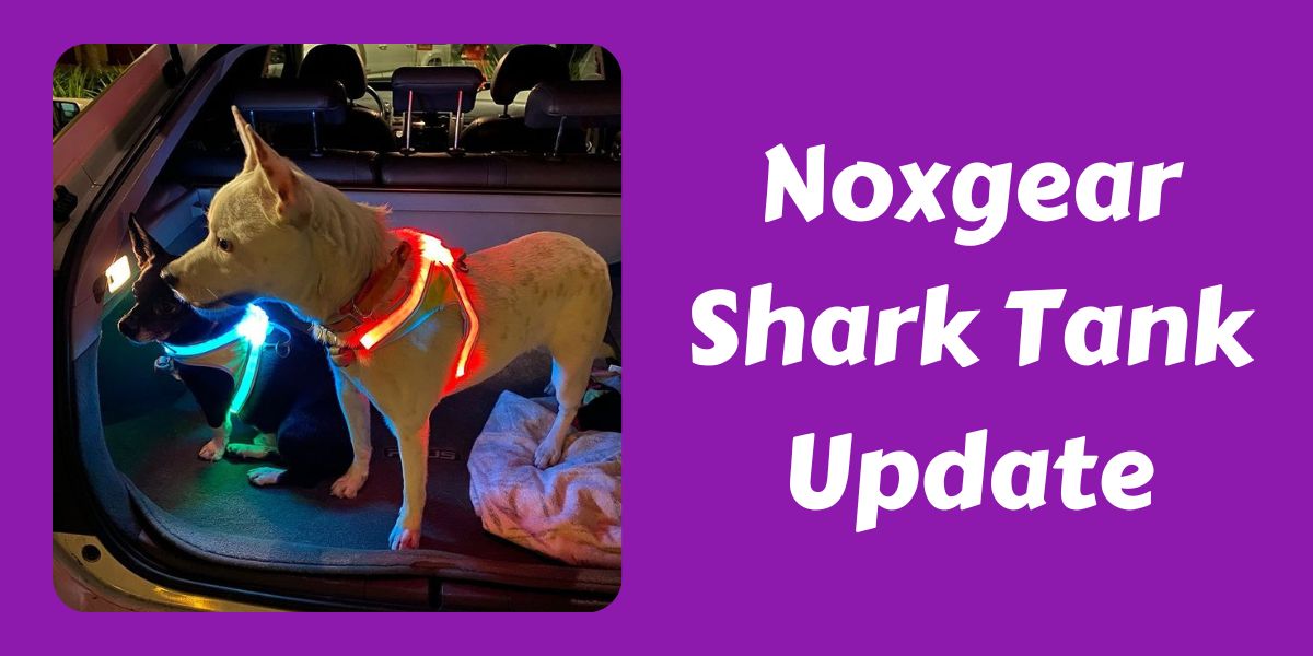Noxgear Shark Tank Update