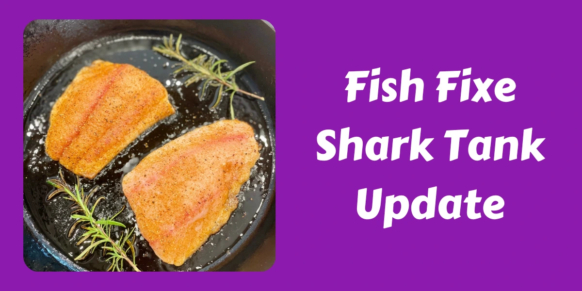 Fish Fixe Shark Tank Update
