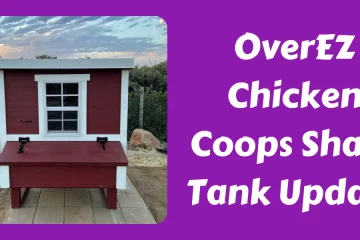 OverEZ Chicken Coops Shark Tank Update (1)