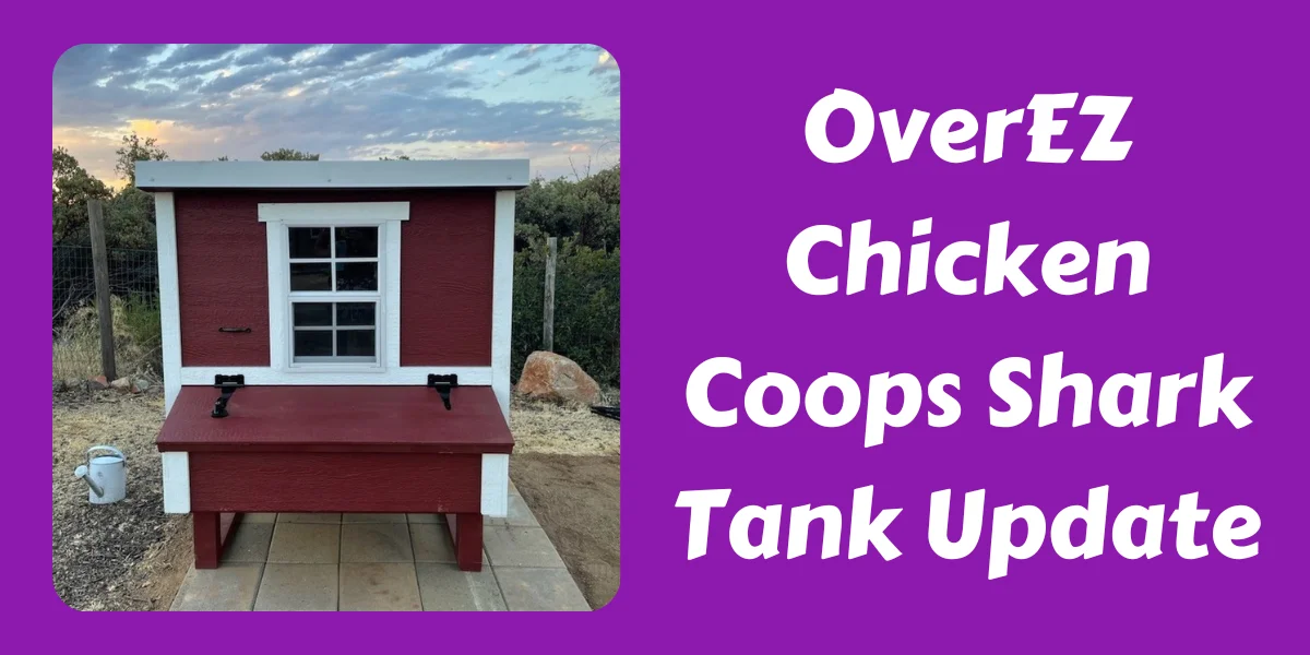 OverEZ Chicken Coops Shark Tank Update (1)
