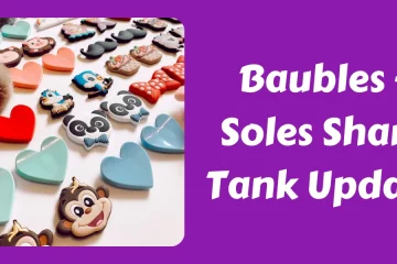 Baubles + Soles Shark Tank Update