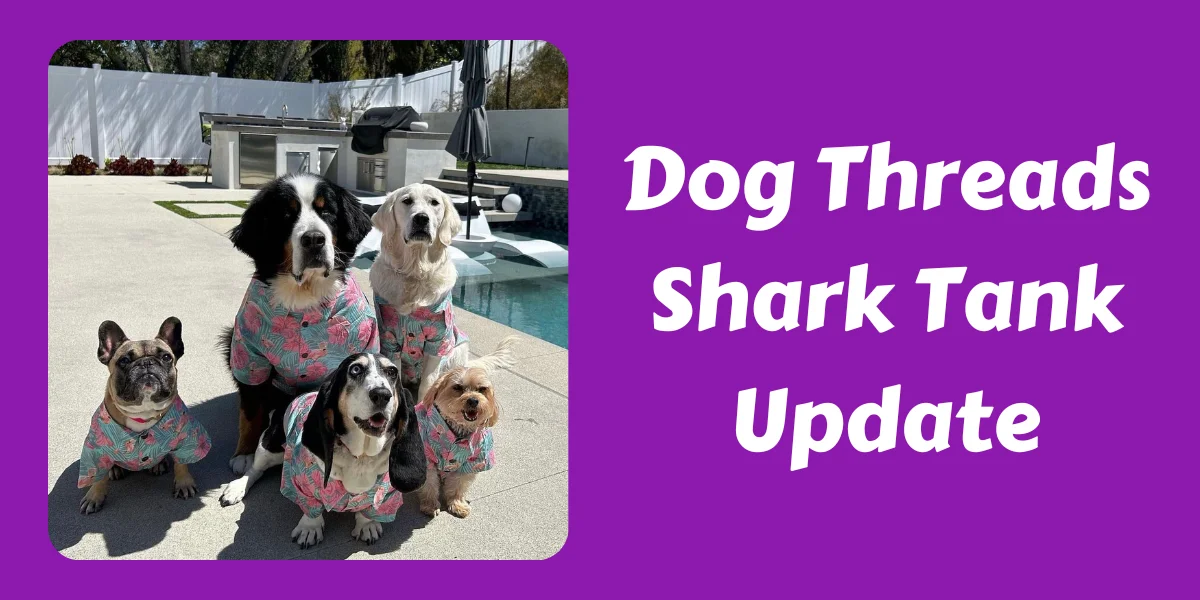 Dog Threads Shark Tank Update